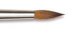Kolinsky Sable