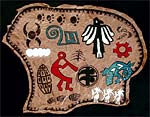 Buffalo Hide