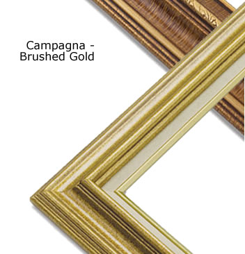 Traditional Style Frame - Soft Antique Gold