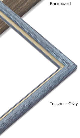 Tucson Frame