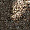 Golden Garnet Gels