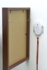 Rings and Screweyes Art Guard Security Device