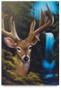 Waterfall Buck