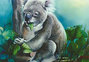 Bob Ross Wildlife Instructional Packets
