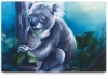 Hungry Koala
