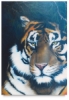 Tiger Hideaway