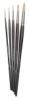 Set of 5 Brushes
