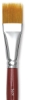 Silver Brush Golden Natural Brushes