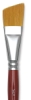 Silver Brush Golden Natural Brushes