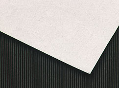 Hosho Student Grade Paper