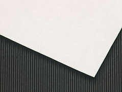 Hosho Paper
