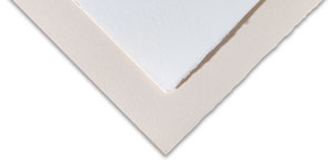 Rosaspina Paper Rosaspina Paper
