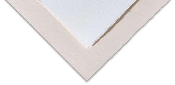 Rosaspina Paper