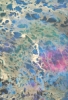 Tsunami