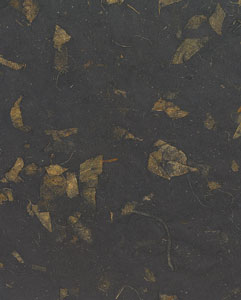 Thai Mango Paper