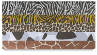 Animal Skin Tissue Assortment