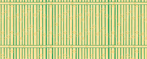 Bamboo