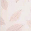 Translucent Vellum Naturals