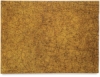 Reptile Paper