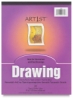 ART1st Drawing Pad