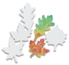 Leaf Shapes