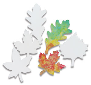 Leaf Shapes Leaf Shapes