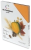 Cardstock/Cover Paper AC Cardstock Paper Pack