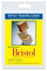 Strathmore 300 Series Bristol Board Pads
