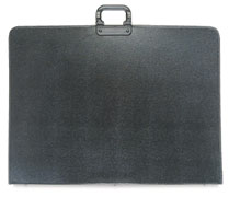 Roslyn Economy Student Portfolio Case