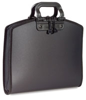 Roslyn Xcase Portfolio