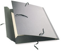 Deluxe Portfolio
