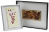 Framatic Cirrus Frames