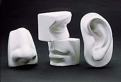 Large Face Parts