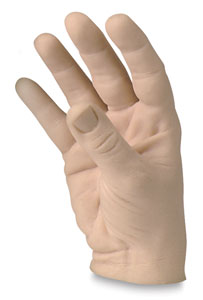 Male Human Hands