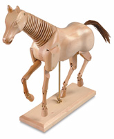 Art Horse Manikin
