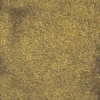 Brilliant Gold Brilliant Gold