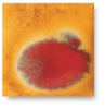 Fox Fire, CG-775