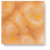 Candy Corn, CG-721 Candy Corn, CG-721