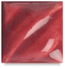 Rose, F-50
