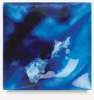 Sea Mist, CTL-26