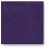 Purple-licious, SC-71 Purple-licious, SC-71