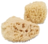 Natural Sea Sponges