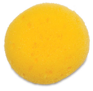 Sponge