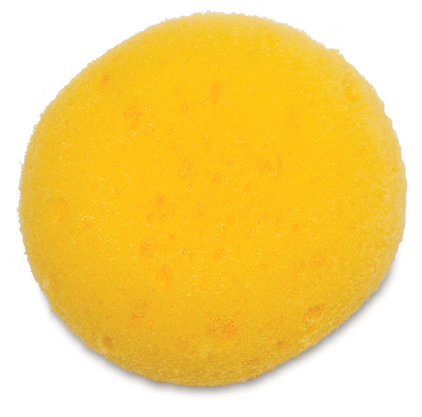 Sponge