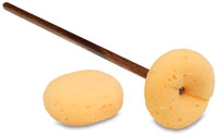 Sponge Holder