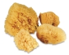 Royal Super Value Sponge Set