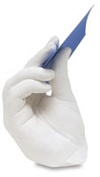 Body Parts Lifecast Kit