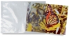 Acid-Free Poly-Bags