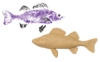 Perch