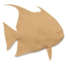 Angel Fish